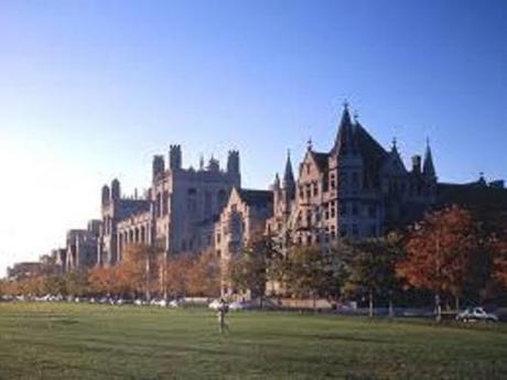 Universities sponsor Sex Week on porn, anal sex, and S-M bondage U of Chicago