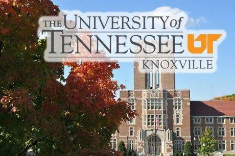 Universities sponsor Sex Week on porn, anal sex, and S-M bondage U of Tennessee