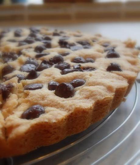 Chocolate Chip Shortbread