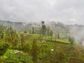 Desa Ngadas: Village Above Clouds