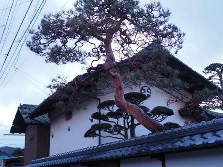 P1300188 中山道の”間の宿”，茂田井 / Motai ,a mid station along the Nakasendō