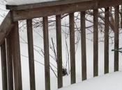 Snow. Porch Railings Iron Lake.