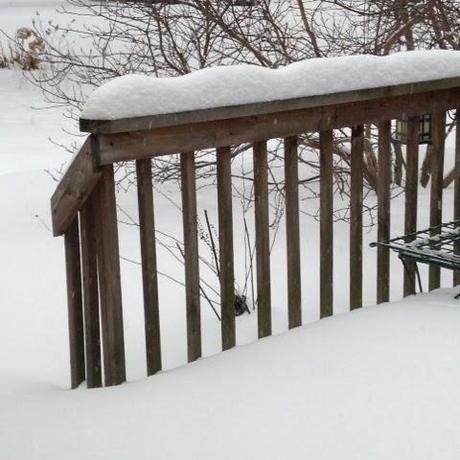 Snow. On Porch Railings and In Iron Lake.
