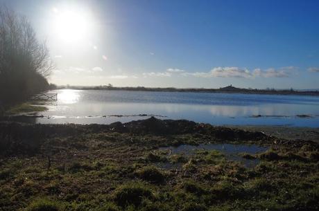 Somerset Levels floods