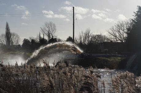 Somerset Levels floods