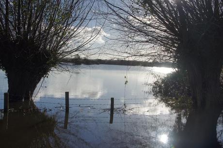 Somerset Levels floods