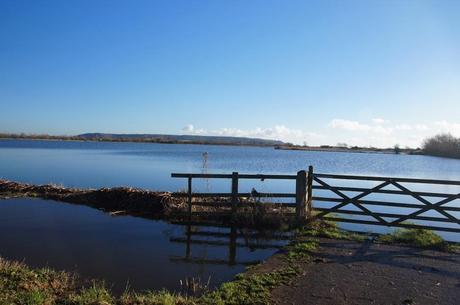 Somerset Levels floods