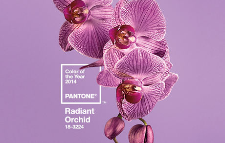 radiant orchid