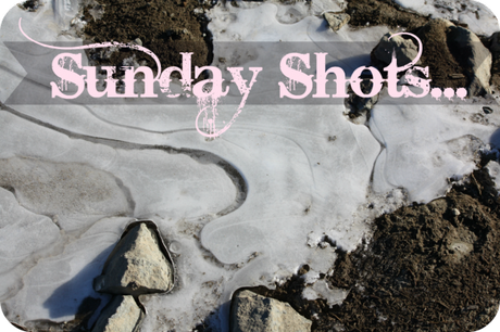 Sunday Shots