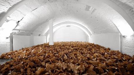 paper arts | sound + paper installation