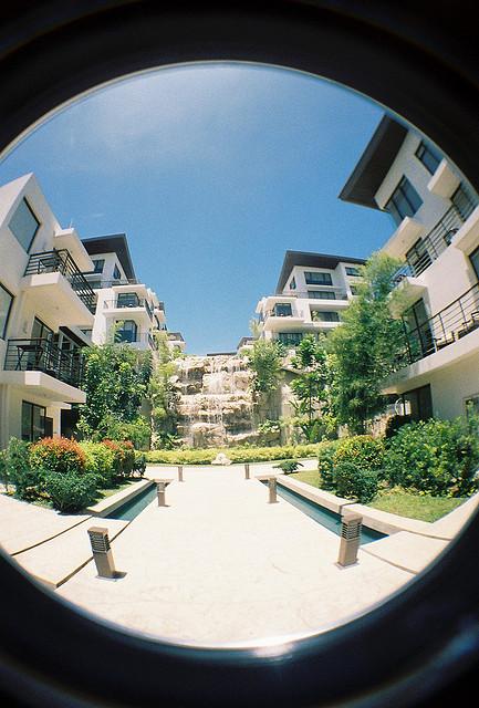 170-degree View with the Lomography Fisheye2