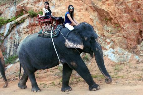 travel thailand elephant trekking