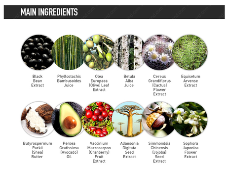 REVIEW | ElishaCoy Always Nuddy CC Cream