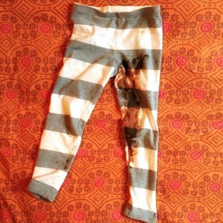 pants 239