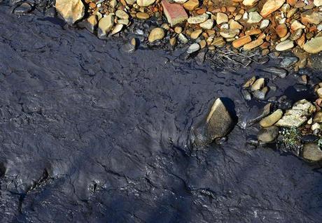 Fields Creek, a tributary of the Kanawha River, blackened by coal slurry. Photo: Kenny Kemp / West Virginia Gazette