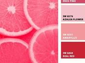 Color Snapshot: Pink Grapefruit HGTV Month