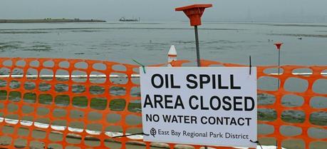 Beaches closed immediately after Cosco Busan spill in San Francisco Bay