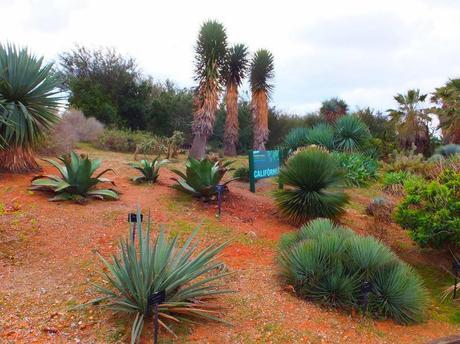 Botanical Garden of Barcelona