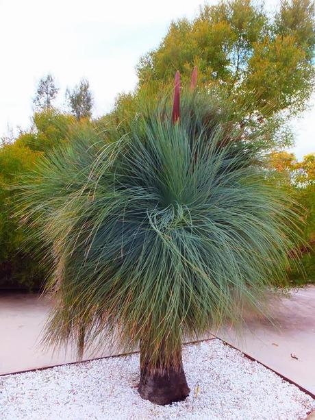 Botanical Garden of Barcelona