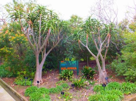 South Africa Garden at Botanical Garden of Barcelona