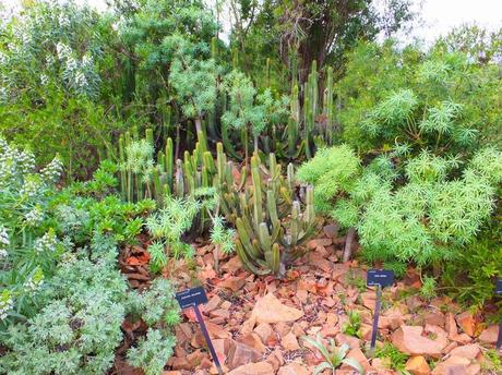 Botanical Garden of Barcelona