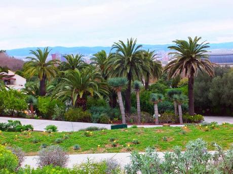 Botanical Garden of Barcelona