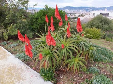 Botanical Garden of Barcelona