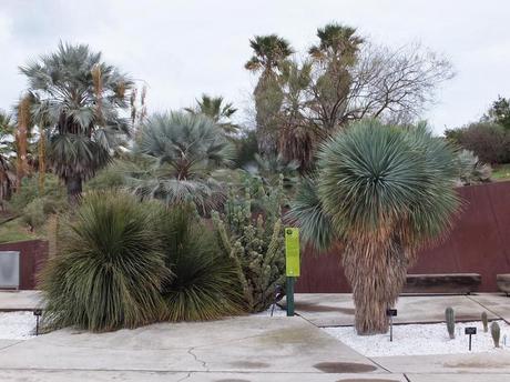 Botanical Garden of Barcelona