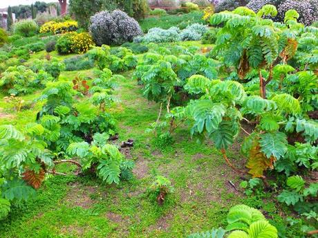 Botanical Garden of Barcelona