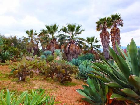 Botanical Garden of Barcelona