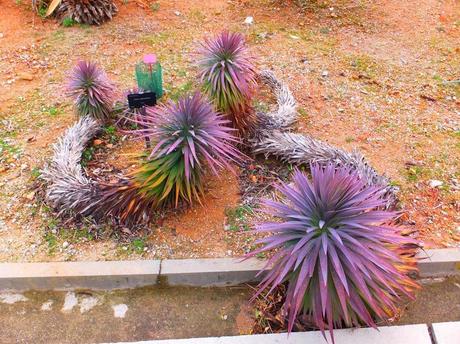 Botanical Garden of Barcelona