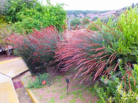 Botanical Garden of Barcelona