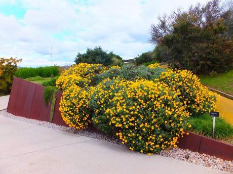 Botanical Garden of Barcelona