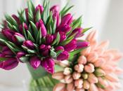 Floral Inspiration Tulip