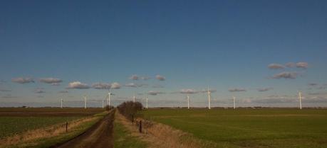 A wind farm in Cambridgeshire county, England