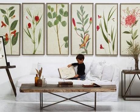 Make Your Walls Bloom With - Natural Curiosities!