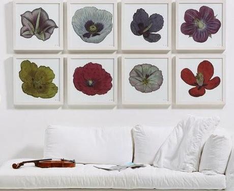 Make Your Walls Bloom With - Natural Curiosities!