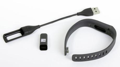 The Fitbit Flex and its accessories