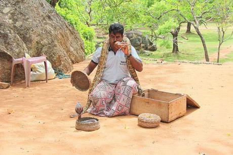 Snake_charmer_in_Sri_Lanka