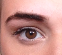 BROW REHAB | Highpoint Benefit Brow Bar Review