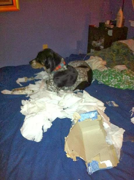 Personal Style with Kleenex® Style Studio (and a chance to win $5,000 and a trip to NYC)