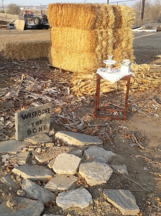 A Surprising Spot adjacent to the Panorama Vista Preserve in Oildale