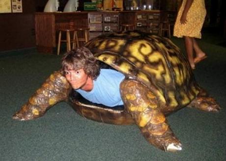 tortoise man