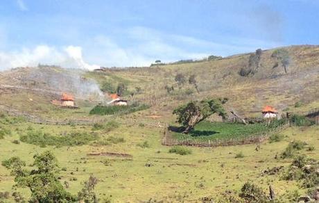 Homes of the Sengwer People in Kenya’s Cherangany Hills torched by forest guards © Justin Kenrick/ Survival