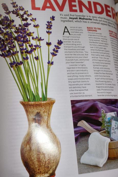 All About Lavender - Femina Salon and Spa