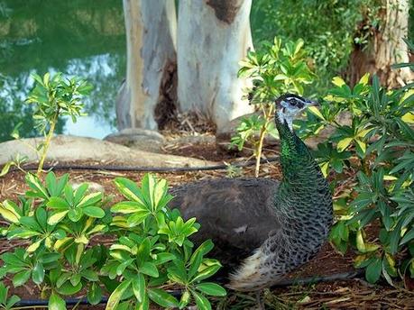 Discovering Israel: Dazzling Beauty In The Middle East (Part II)