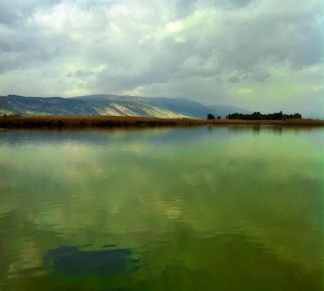 Discovering Israel: Dazzling Beauty In The Middle East (Part II)