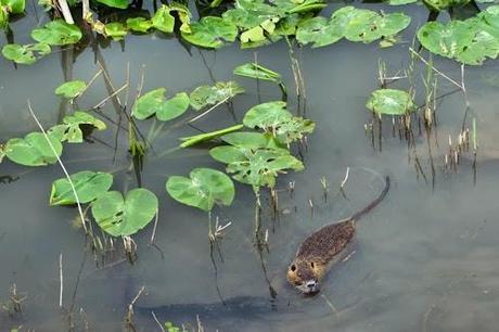 Discovering Israel: Dazzling Beauty In The Middle East (Part II)