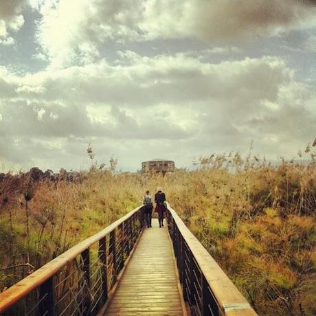 Discovering Israel: Dazzling Beauty In The Middle East (Part II)