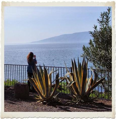 Discovering Israel: Dazzling Beauty In The Middle East (Part II)